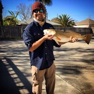 Meet your Posher, Greg